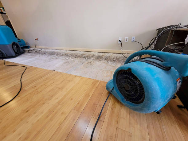 Professional Water Removal technician working in Arcadia, OK